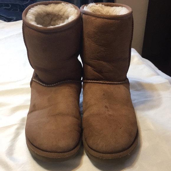 UGG Shoes - Classic Short UGG Boots